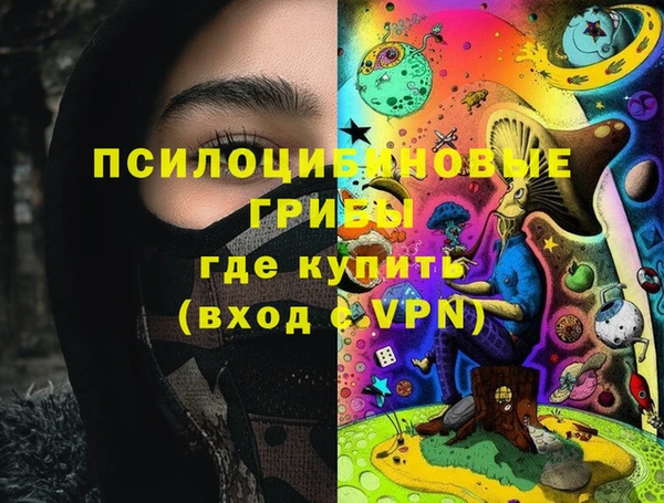 ГАЛЛЮЦИНОГЕННЫЕ ГРИБЫ Баксан