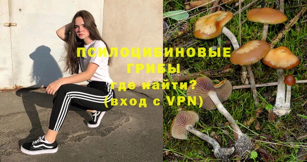 ГАЛЛЮЦИНОГЕННЫЕ ГРИБЫ Баксан