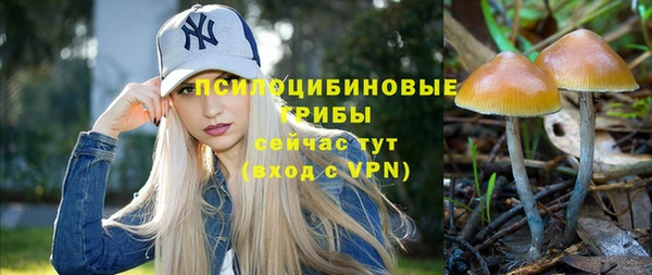 ГАЛЛЮЦИНОГЕННЫЕ ГРИБЫ Баксан